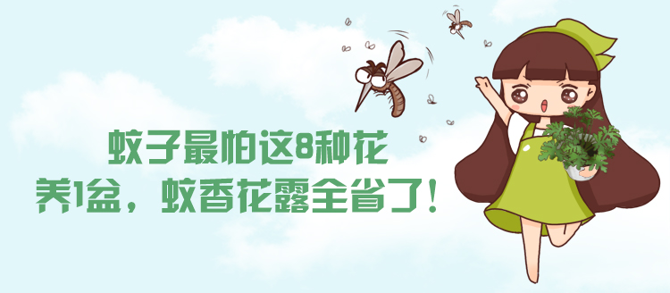 蚊(wen)子最怕這8種  zhi)　　  盆，蚊(wen)香花露水全省了！